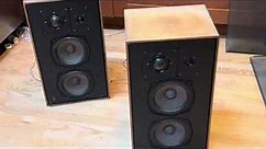 ADS L710 speakers for sale on eBay. Some water damage, but otherwise sound.