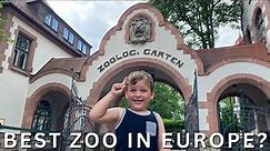 A Day at the Leipzig Zoo: Europe's Top Wildlife Experience