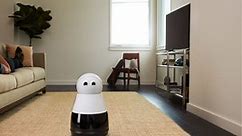A $700 Home Robot Named Kuri Just Hit the Market