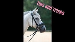 How to bridle a difficult horse // Tips from Deanna Corby Dressage