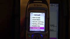 Old LG PM325 Sprint Cell Phone 2004