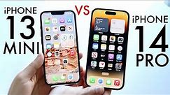 iPhone 14 Pro Vs iPhone 13 Mini In 2023! (Comparison) (Review)