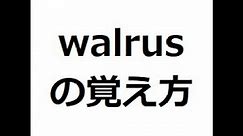 walrusの覚え方 ＃英検1級 ＃英単語の覚え方 ＃TOEIC ＃ゴロ ＃語呂 ＃語源 ＃パス単