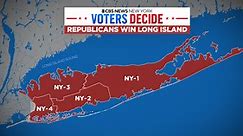 New York Democrats face criticism from within own party after losses