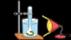 15 Easy Science Experiments to get your kids up and atom!