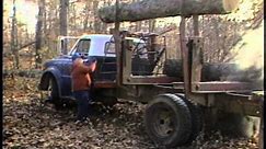 Logging Mules