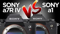 Sony a1 vs a7R IV Camera Comparison