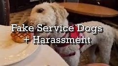Fake Service Dogs + Harassment