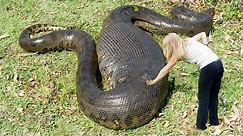 World's LARGEST Snakes EVER