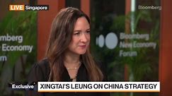 Xingtai Capital's Leung on China Strategy