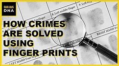 How Crimes are solved using Finger Prints | Finger Print Analysis | Forensic Science