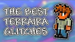 The BEST Terraria glitches (1.4.4.9)