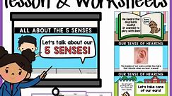 My Five Senses Lesson and 5 Senses Worksheet SET Kindergarten Science
