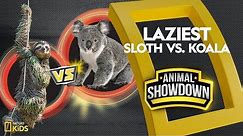Sloth vs. Koala: Battle for the Laziest | Animal Showdown