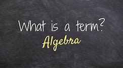 What is a term in Algebra?