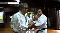 Tee - The True Spirit of Okinawan Karate