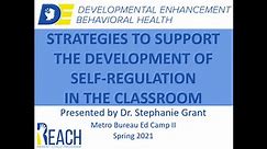 Metro Bureau Ed Camp Spring 2022 - PART 1: The Development of Self-Regulation in a Classroom Setting