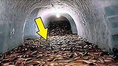 Police find tunnel Under MacDonald's, What they Find At The Bottom Makes Them Turn Pale