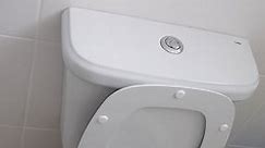 How to Fix a Toilet Flush Button [10 Easy Steps]