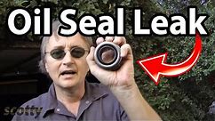 How to Fix a Oil Seal Leak in Your Car