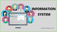 What is an Information System? 5 Components, Types, Advantages, Disadvantages [PDF Included] - EDUCATIONLEAVES