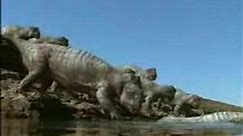 Caminando Entre Monstruos:Vida Antes de los Dinosaurios (12)