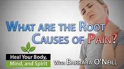 Natural Pain Relief Strategies - Barbara O'Neill 11/13