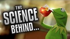 The Science Behind Kermit Memes | Some Boi Online