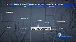 Highly contagious strain of bird flu detected in Darke Co.