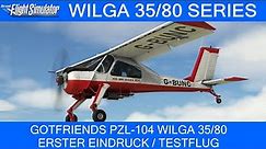 GotFriends PZL-104 Wilga 35/80 Series - Erster Eindruck & Testflug ★ MSFS 2020