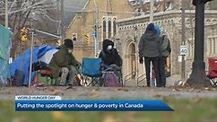 Food insecurity in Canada at ‘crisis level,’ says expert