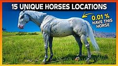 Discover 15 Unique Horses and Where to Find Them - RDR2 Rare & Special Horse Guide