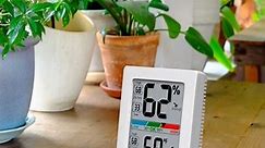 Best Hygrometer Reviews 2023: The Most Accurate Digital Hygrometers | Weather Station Advisor