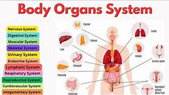 Organ Systems | Roles & Functions | Human Body | Overview of Body Systems