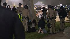 Over 200 people arrested at pro-Palestinian encampment on UCLA campus