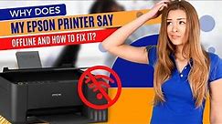 Why does My Epson Printer Say Offline and How to Fix it? | Printer Tales