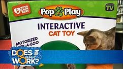 Does It Really Work: Pop-N-Play Cat Toy