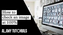 Alamy Quality Control. How to check an image at 100%