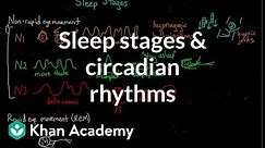 Sleep stages and circadian rhythms | Processing the Environment | MCAT | Khan Academy