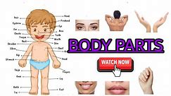 body parts| parts of the body| human body parts names | outer body parts
