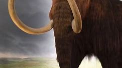 Why were prehistoric animals so big?