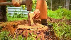 How to Remove a Tree Stump with a Wedge