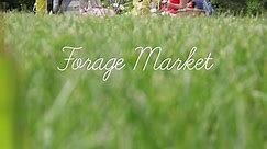 Forage Market - Sneak Peek