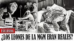 La INCREÍBLE Historia De Los LEONES De La Metro Goldwyn Mayer
