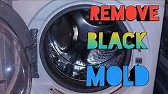 How to Clean the Front -Load Washing Machine Mold ? KILL THE MOLD EASILY