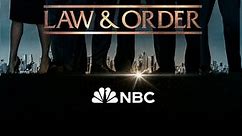 Law & Order: Season 22 Episode 15 Fear and Loathing