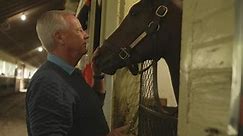 Horse racing watchdog works to improve safety, end doping | 60 Minutes