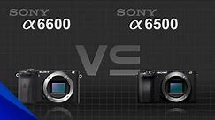 Sony alpha a6600 vs Sony alpha a6500