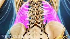 What Is Your Back Muscle Spasm Telling You?