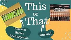 Amazon Basics and Duracell AA Batteries